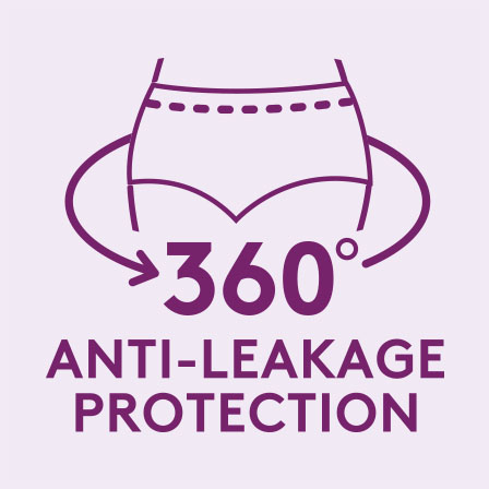 Icons 360 Anti-Leakage Protection